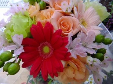 淡い期待？！｜「アライ花店」　（山形県山形市の花キューピット加盟店 花屋）のブログ