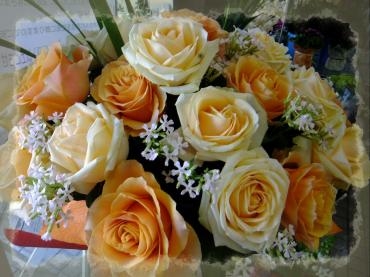 お見舞いアレンジ｜「アライ花店」　（山形県山形市の花キューピット加盟店 花屋）のブログ