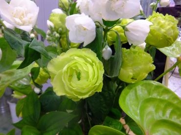 花まつり｜「アライ花店」　（山形県山形市の花キューピット加盟店 花屋）のブログ