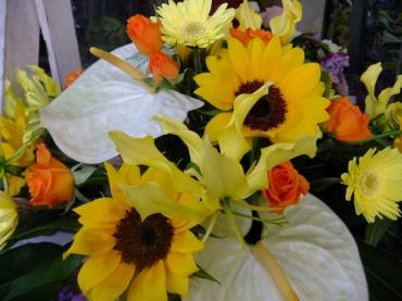 エバーフレッシュ｜「アライ花店」　（山形県山形市の花キューピット加盟店 花屋）のブログ