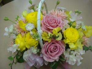 入学・就職　おめでとう　に！｜「緑花園」　（徳島県吉野川市の花キューピット加盟店 花屋）のブログ