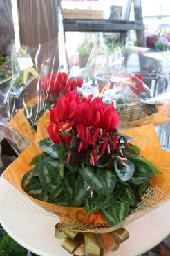 クリスマス会でのプレゼント用に♬｜「アライ花店」　（山形県山形市の花キューピット加盟店 花屋）のブログ