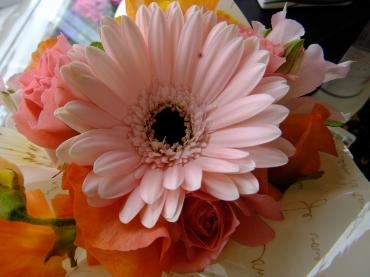 「の」が付く花｜「アライ花店」　（山形県山形市の花キューピット加盟店 花屋）のブログ