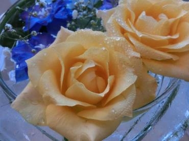 もうすぐ花笠まつり｜「アライ花店」　（山形県山形市の花キューピット加盟店 花屋）のブログ