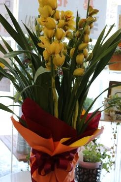 本日お届けのお花♬｜「アライ花店」　（山形県山形市の花キューピット加盟店 花屋）のブログ