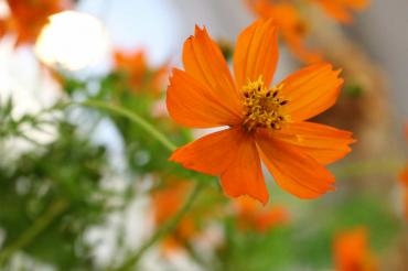 小雨になってきました｜「アライ花店」　（山形県山形市の花キューピット加盟店 花屋）のブログ