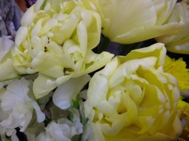本日のお客様との会話｜「アライ花店」　（山形県山形市の花キューピット加盟店 花屋）のブログ