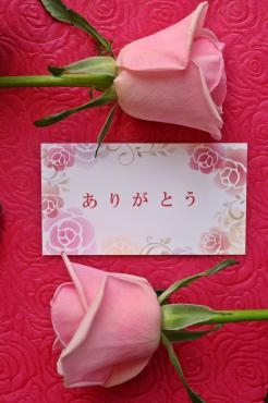 11/22にお花を贈りませんか♬｜「アライ花店」　（山形県山形市の花キューピット加盟店 花屋）のブログ