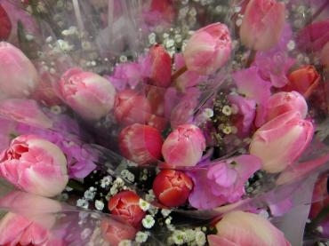 あったかい1日でした｜「アライ花店」　（山形県山形市の花キューピット加盟店 花屋）のブログ