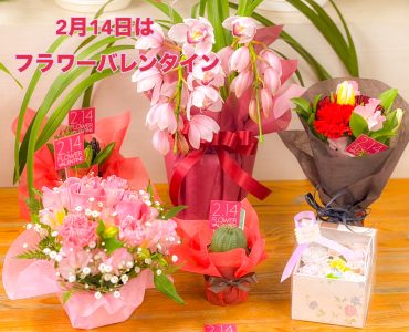 明日2月14日はバレンタインデーです｜「フラワーショップはなまつ」　（京都府宇治市の花キューピット加盟店 花屋）のブログ