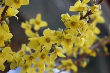 彼岸明け｜「アライ花店」　（山形県山形市の花キューピット加盟店 花屋）のブログ
