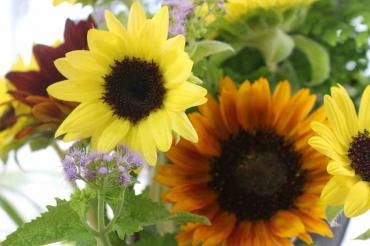あっと言う間にお盆から１週間｜「アライ花店」　（山形県山形市の花キューピット加盟店 花屋）のブログ