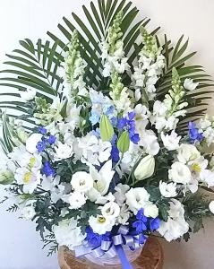 ｜「パンジーフローリスト」　（福岡県大牟田市の花キューピット加盟店 花屋）のブログ