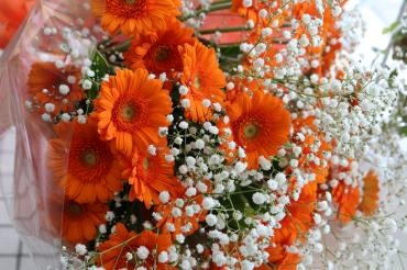 ガーベラとカスミ草の花束♬｜「アライ花店」　（山形県山形市の花キューピット加盟店 花屋）のブログ