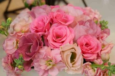 素敵な歌声♬｜「アライ花店」　（山形県山形市の花キューピット加盟店 花屋）のブログ