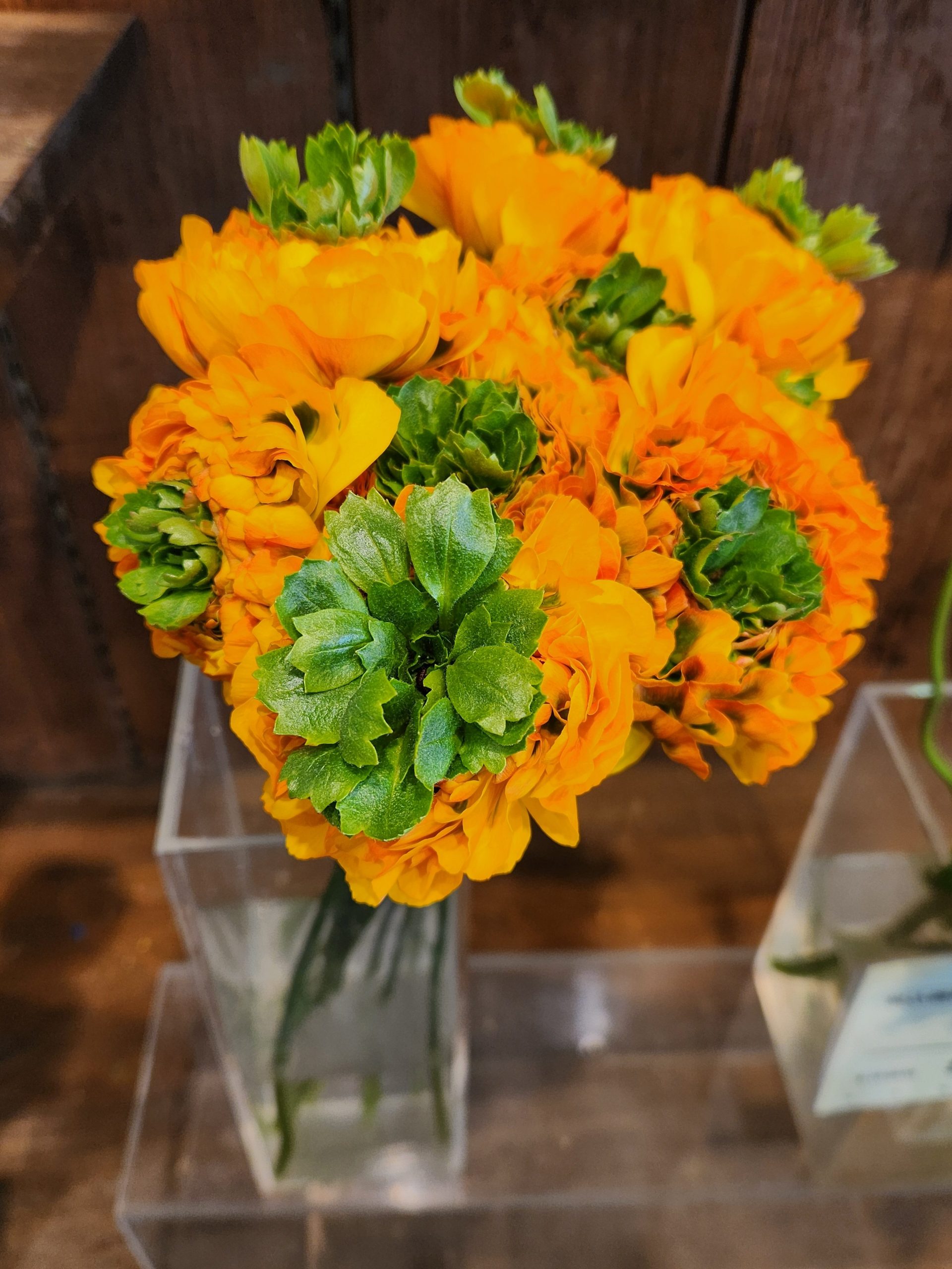 サラダ｜「花里」　（神奈川県逗子市の花キューピット加盟店 花屋）のブログ