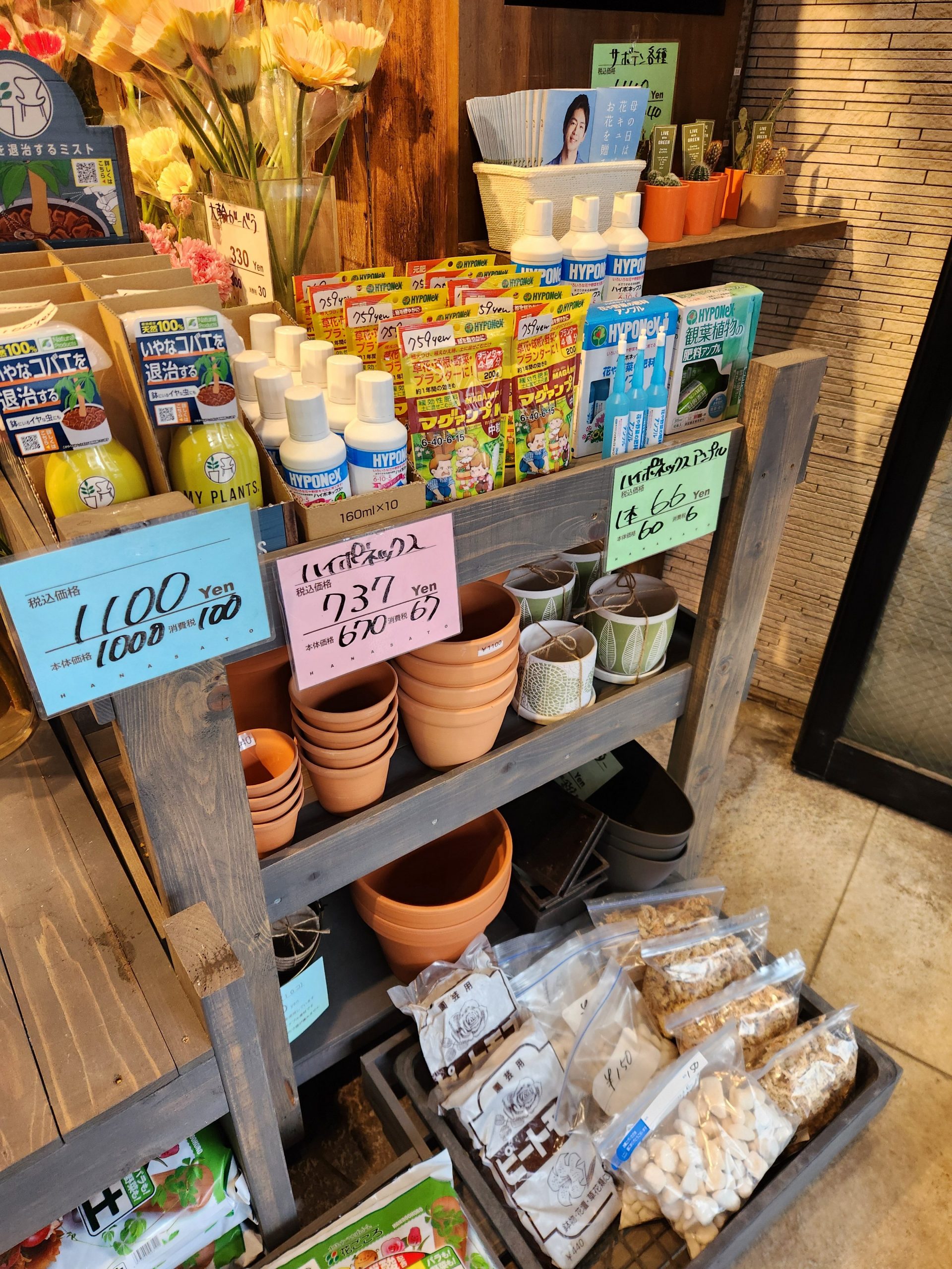 ガーデニング｜「花里」　（神奈川県逗子市の花キューピット加盟店 花屋）のブログ