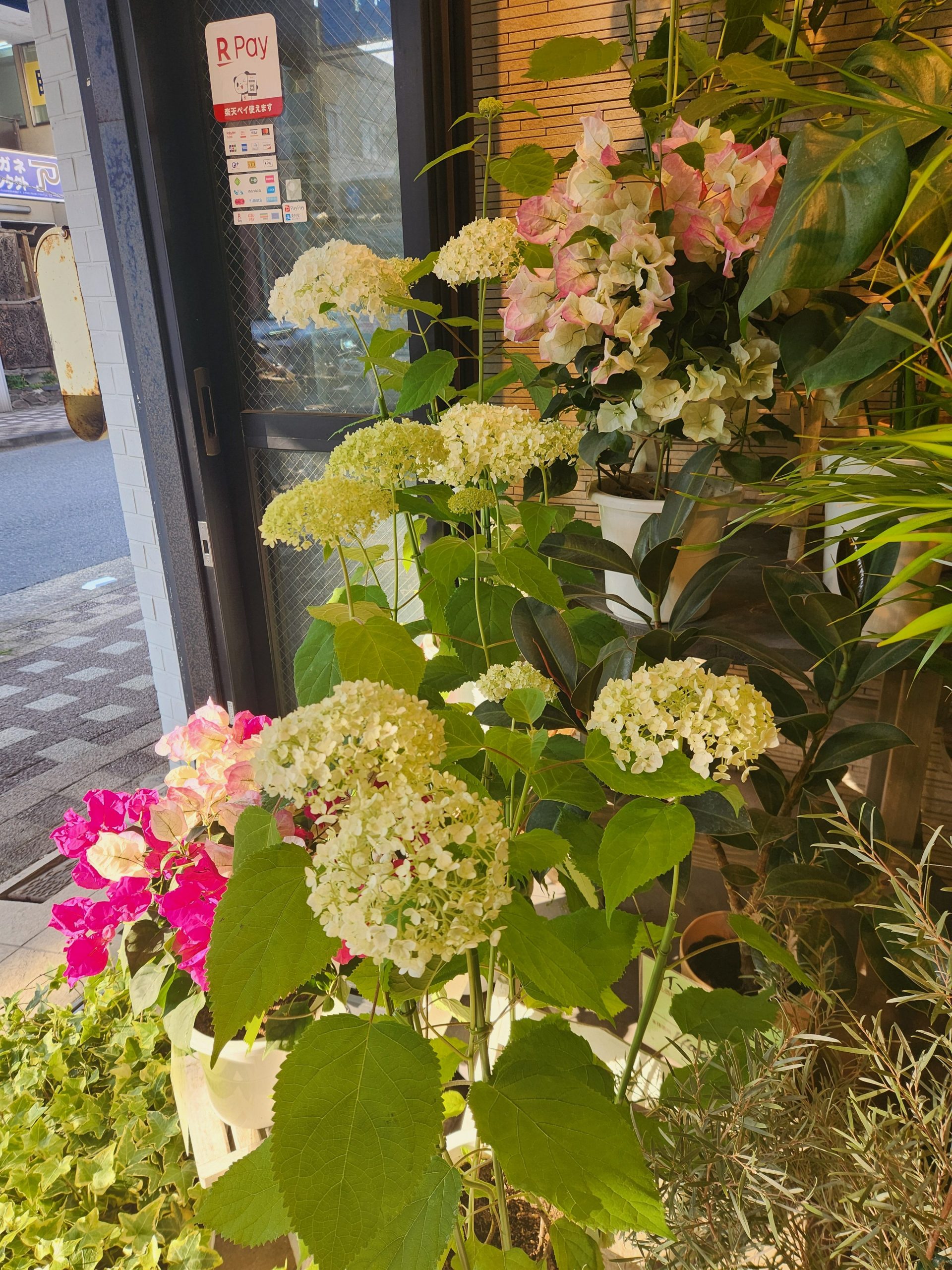 淡｜「花里」　（神奈川県逗子市の花キューピット加盟店 花屋）のブログ