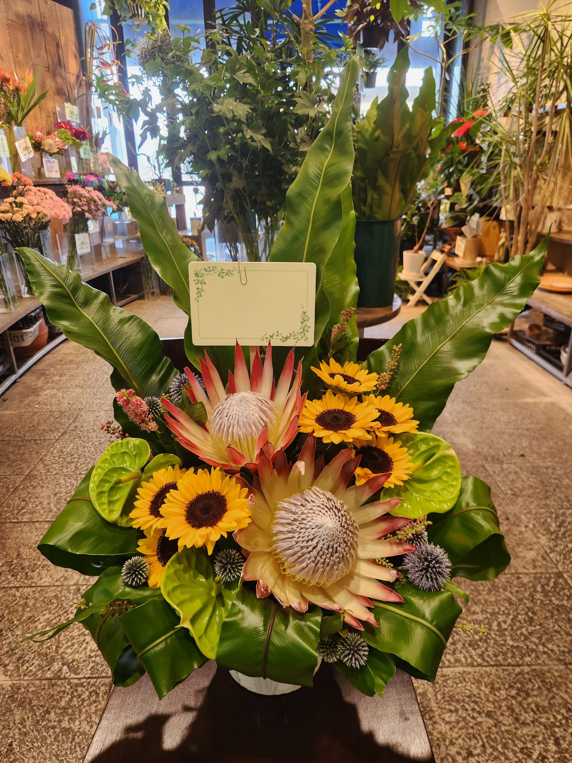 おめでとうございます｜「花里」　（神奈川県逗子市の花キューピット加盟店 花屋）のブログ