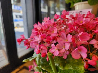 気づいたら秋｜「花里」　（神奈川県逗子市の花キューピット加盟店 花屋）のブログ