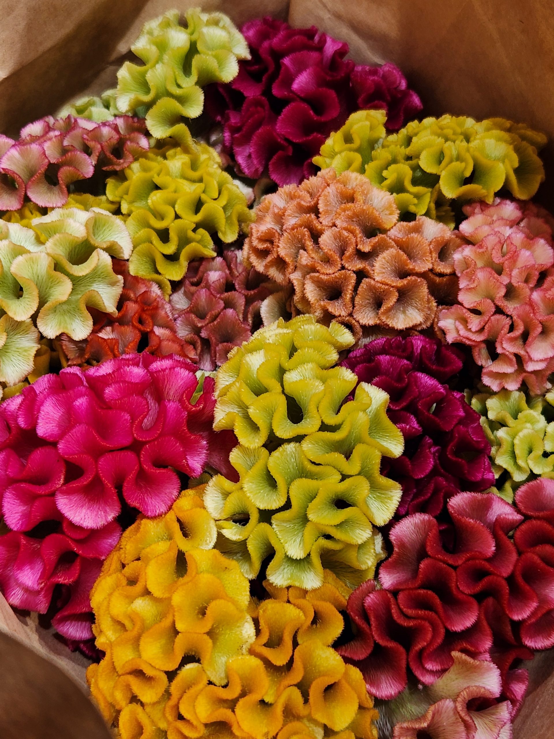 秋の色｜「花里」　（神奈川県逗子市の花キューピット加盟店 花屋）のブログ
