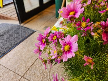 お彼岸の中日｜「花里」　（神奈川県逗子市の花キューピット加盟店 花屋）のブログ