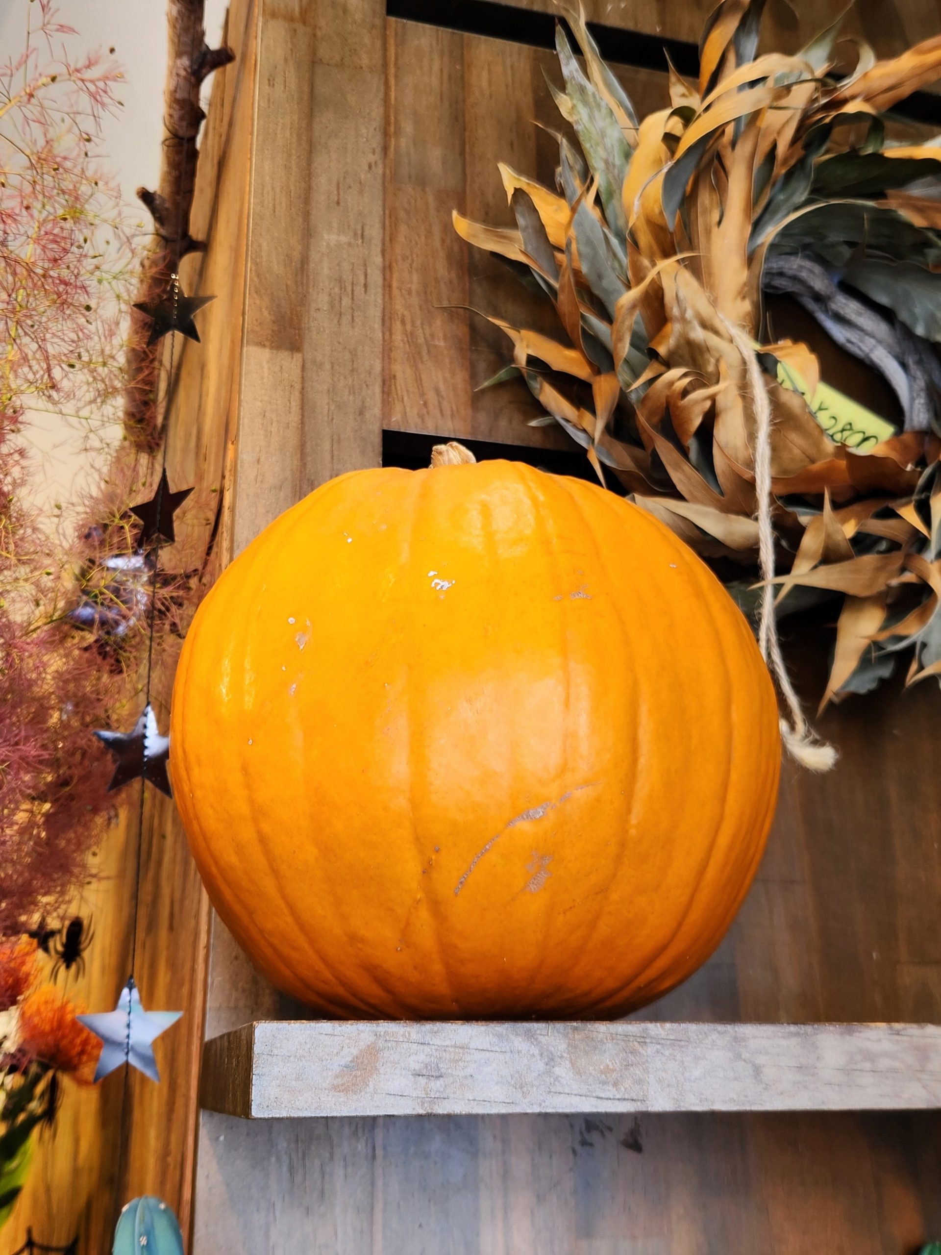 ハロウィン｜「花里」　（神奈川県逗子市の花キューピット加盟店 花屋）のブログ