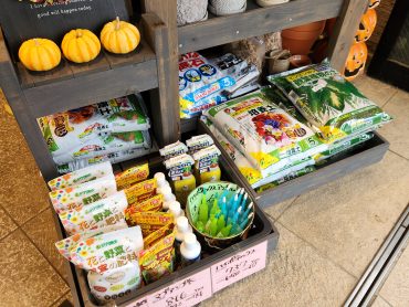 ガーデニングの秋｜「花里」　（神奈川県逗子市の花キューピット加盟店 花屋）のブログ