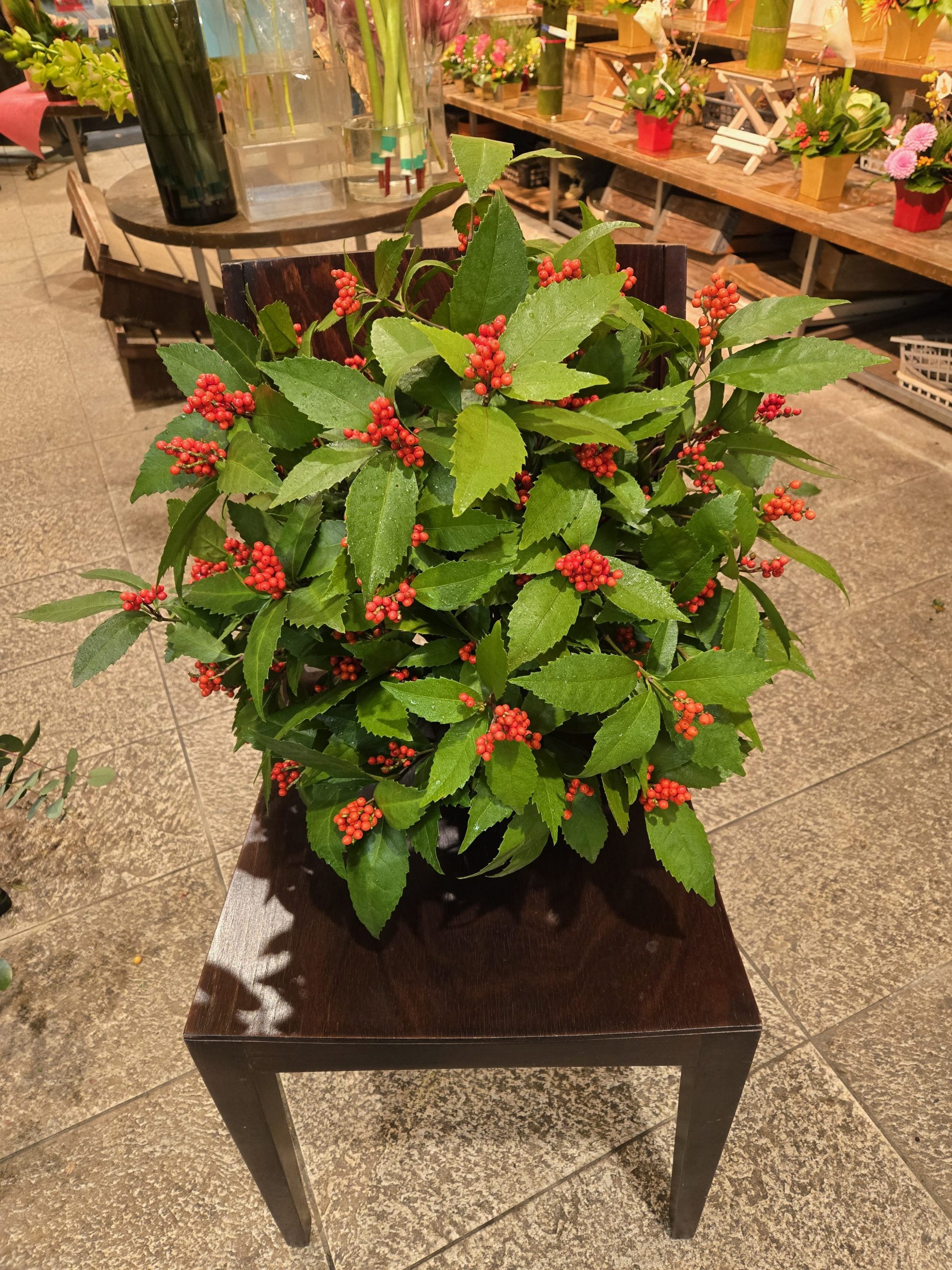 ありがとうございました。｜「花里」　（神奈川県逗子市の花キューピット加盟店 花屋）のブログ