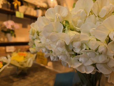 豆｜「花里」　（神奈川県逗子市の花キューピット加盟店 花屋）のブログ