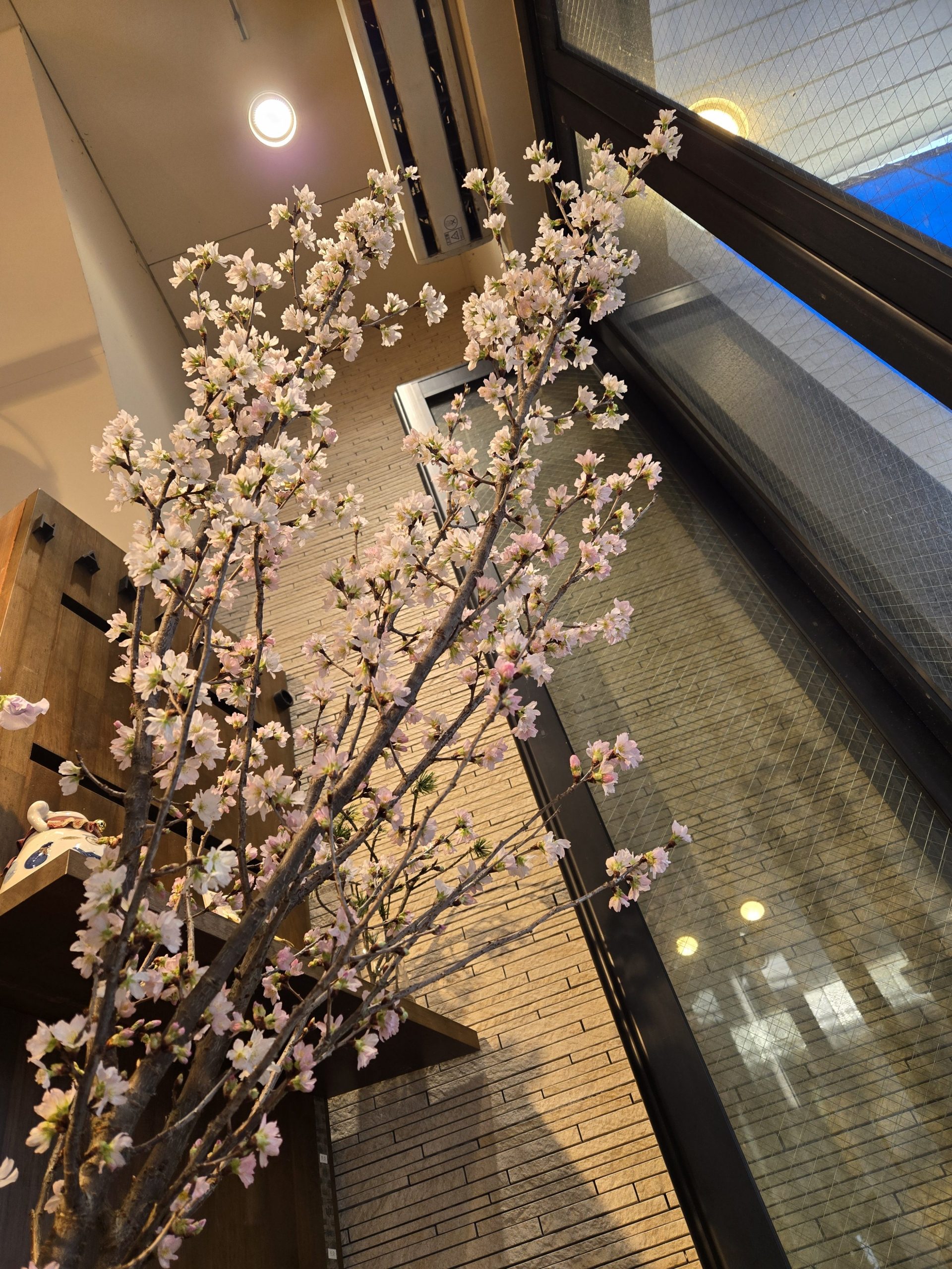 さくらさくら｜「花里」　（神奈川県逗子市の花キューピット加盟店 花屋）のブログ