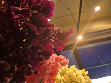 ワインレッド｜「花里」　（神奈川県逗子市の花キューピット加盟店 花屋）のブログ