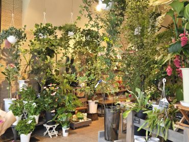 グリーン｜「花里」　（神奈川県逗子市の花キューピット加盟店 花屋）のブログ