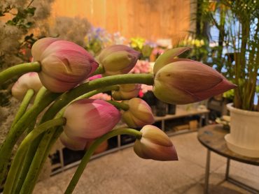 お盆｜「花里」　（神奈川県逗子市の花キューピット加盟店 花屋）のブログ