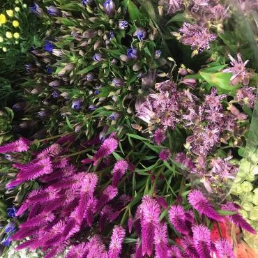 秋の花々｜「フラワーショップはなまつ」　（京都府宇治市の花キューピット加盟店 花屋）のブログ