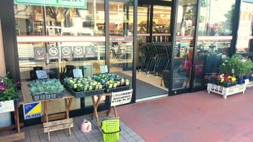 土曜日は生協男山店、店頭販売がお買い得｜「ポピー」　（京都府八幡市の花キューピット加盟店 花屋）のブログ