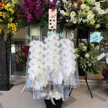 レストラン開店お祝い、お届けいたしました。｜「銀座ニューフラワー」　（東京都中央区の花キューピット加盟店 花屋）のブログ