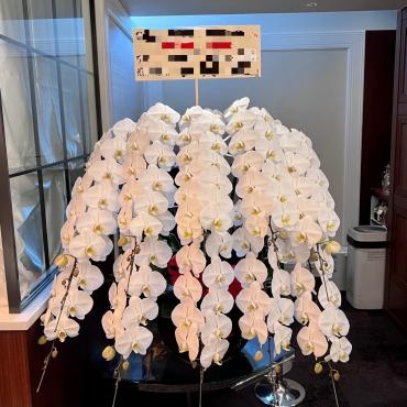 胡蝶蘭10本立、お届けいたしました。｜「銀座ニューフラワー」　（東京都中央区の花キューピット加盟店 花屋）のブログ
