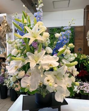 ユリや胡蝶蘭を使った枕花｜「斎藤生花店」　（静岡県静岡市葵区の花キューピット加盟店 花屋）のブログ