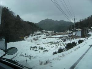 ＨＩＲＯさんのボヤキ｜「石飛生花店」　（島根県出雲市の花キューピット加盟店 花屋）のブログ