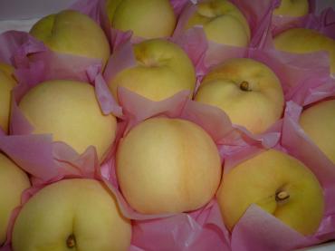 桃ありがとう｜「石飛生花店」　（島根県出雲市の花キューピット加盟店 花屋）のブログ