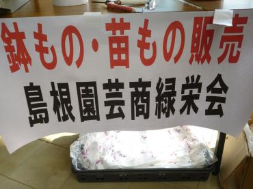 フラワーインしまね｜「石飛生花店」　（島根県出雲市の花キューピット加盟店 花屋）のブログ