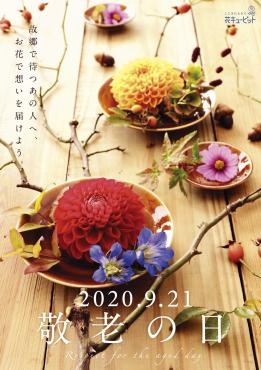 敬老の日2020｜「愛花」　（愛媛県松山市の花キューピット加盟店 花屋）のブログ