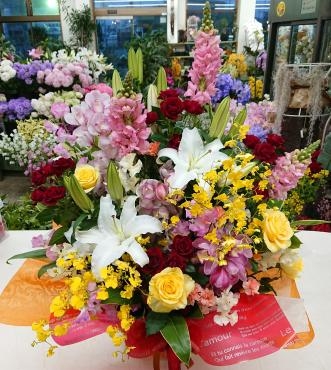 お祝い アレンジメント｜「愛花」　（愛媛県松山市の花キューピット加盟店 花屋）のブログ