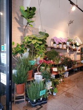 秋へ｜「花里」　（神奈川県逗子市の花キューピット加盟店 花屋）のブログ