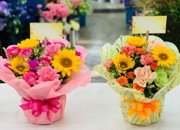 お祝い アレンジメント♪｜「愛花」　（愛媛県松山市の花キューピット加盟店 花屋）のブログ