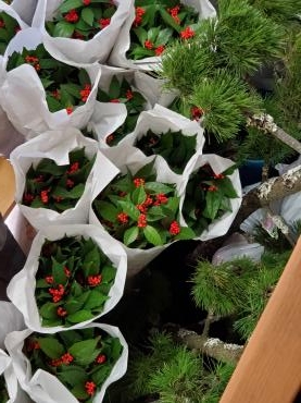 お正月の景色｜「花里」　（神奈川県逗子市の花キューピット加盟店 花屋）のブログ