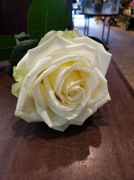生クリームのよう｜「花里」　（神奈川県逗子市の花キューピット加盟店 花屋）のブログ