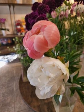 紅白｜「花里」　（神奈川県逗子市の花キューピット加盟店 花屋）のブログ