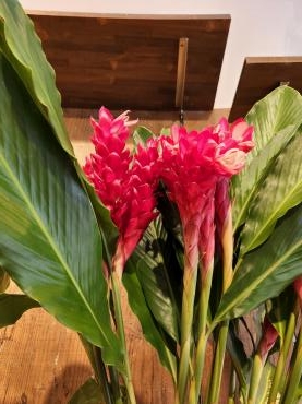 ガツンと鮮やかに｜「花里」　（神奈川県逗子市の花キューピット加盟店 花屋）のブログ